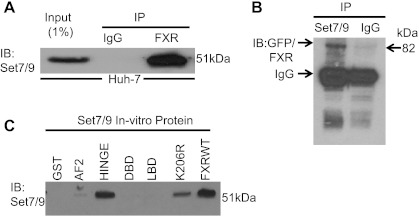 Fig. 8.