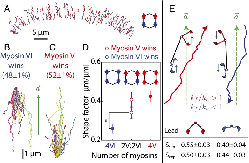 Fig. 6.