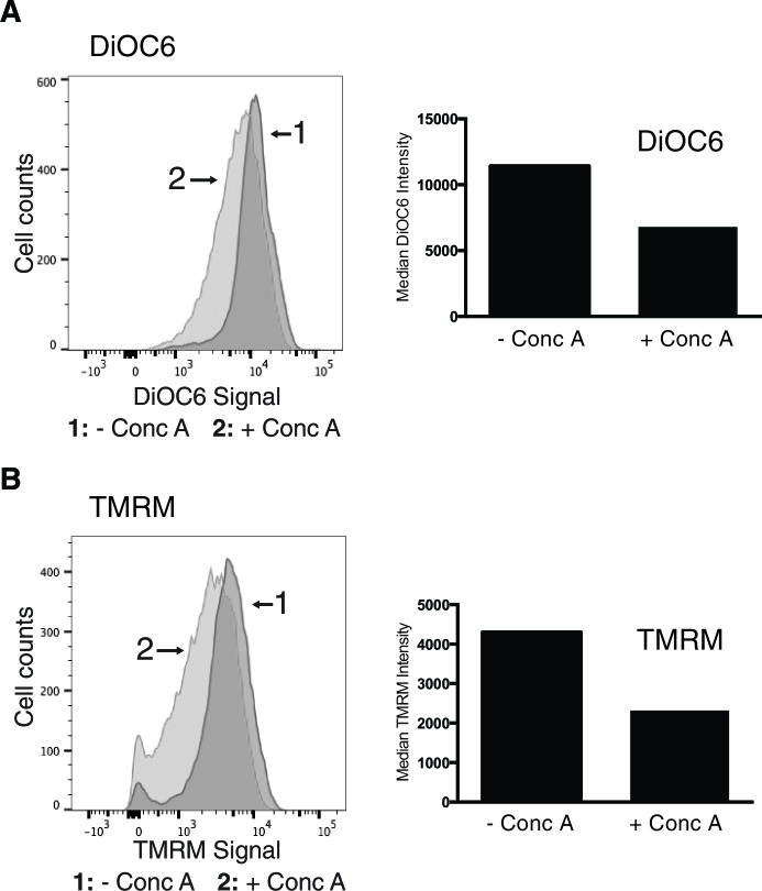 Figure 2—figure supplement 1.