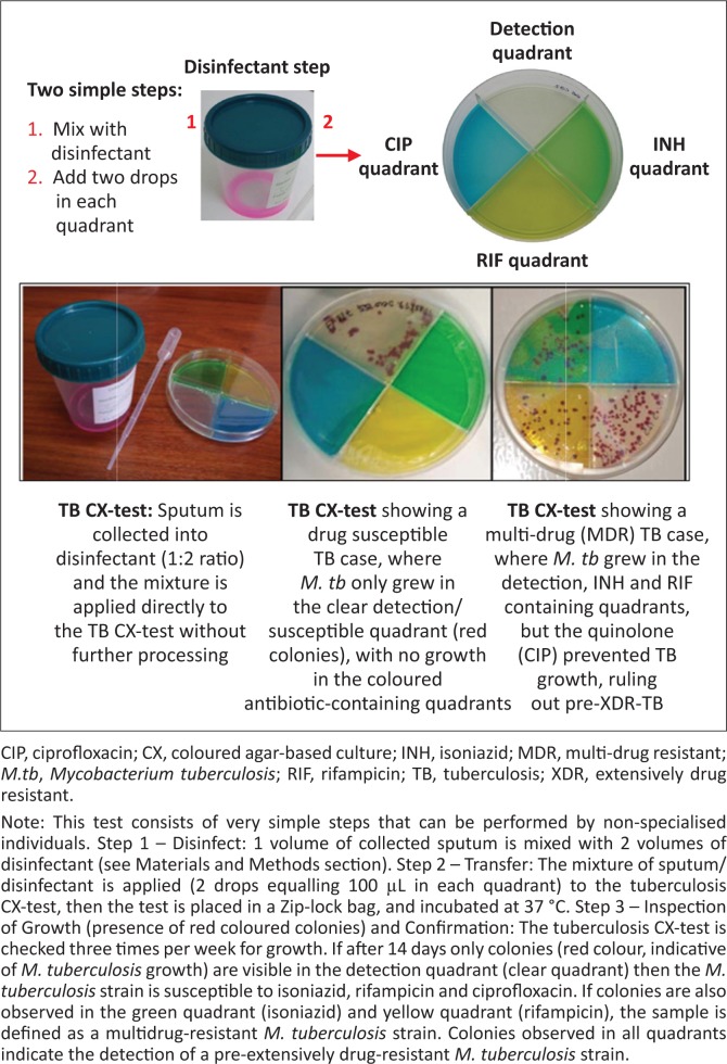 FIGURE 1