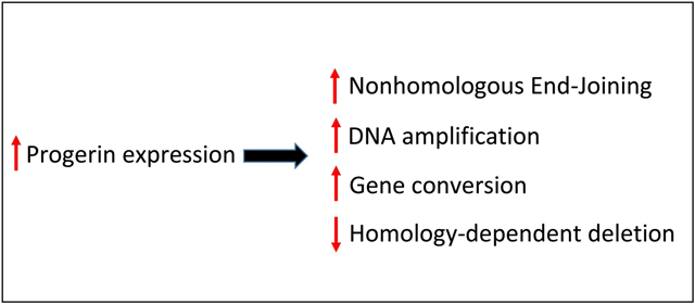 graphic file with name nihms-1632967-f0001.jpg