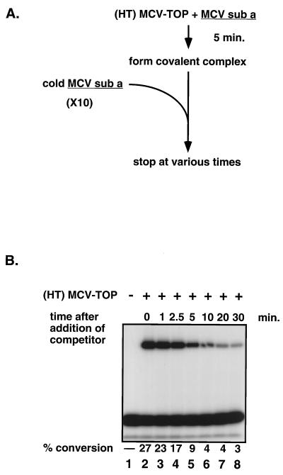 FIG. 6