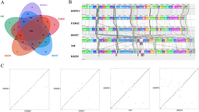 FIG 3