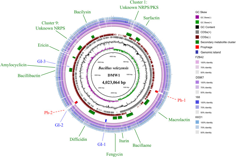 FIG 1