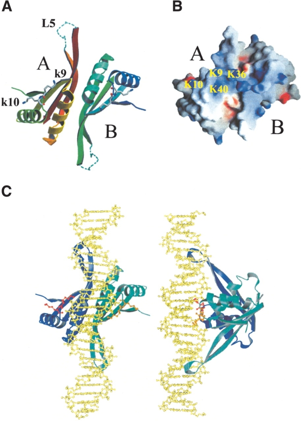 Figure 3.