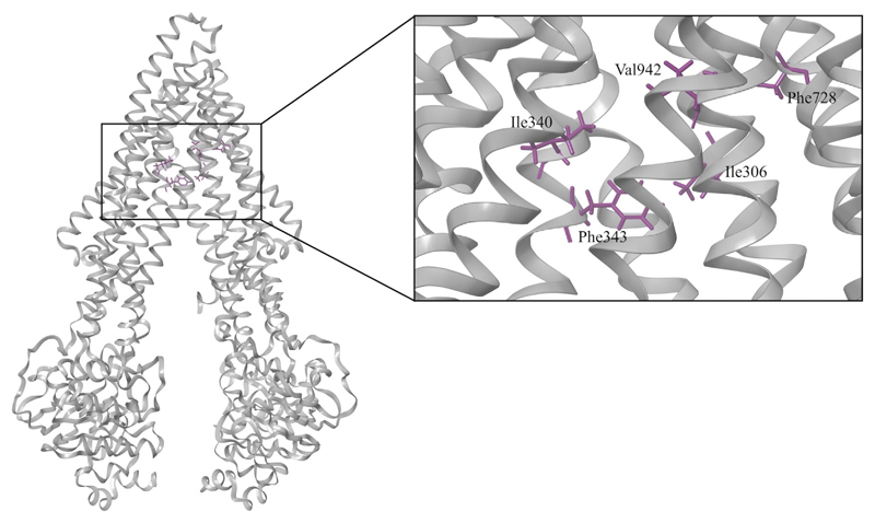 Fig. 3