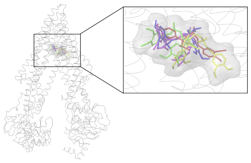 Fig. 1