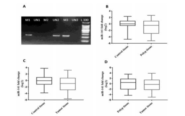 Fig.1