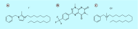 <b>Figure 3.</b>