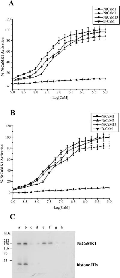 Figure 11.