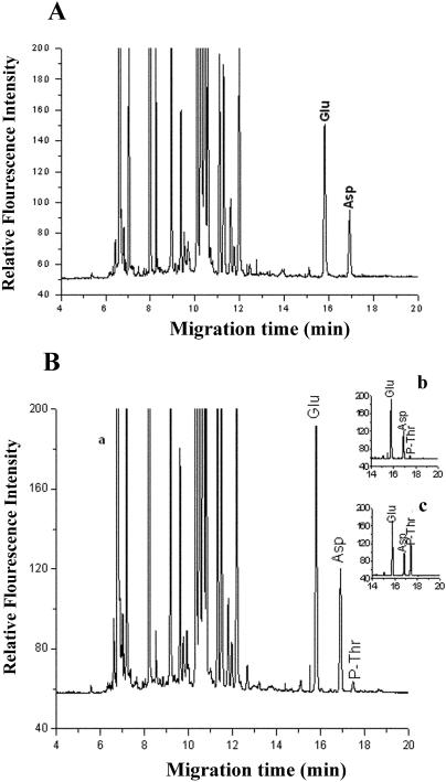 Figure 12.