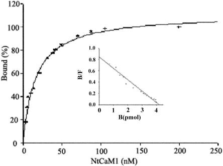 Figure 7.