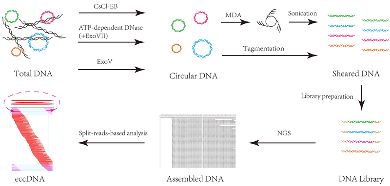 Figure 1.