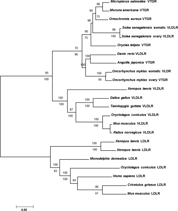 FIG. 3. 