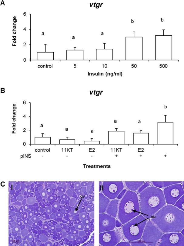 FIG. 6. 