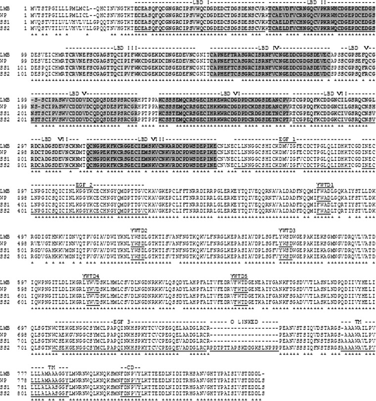 FIG. 2. 