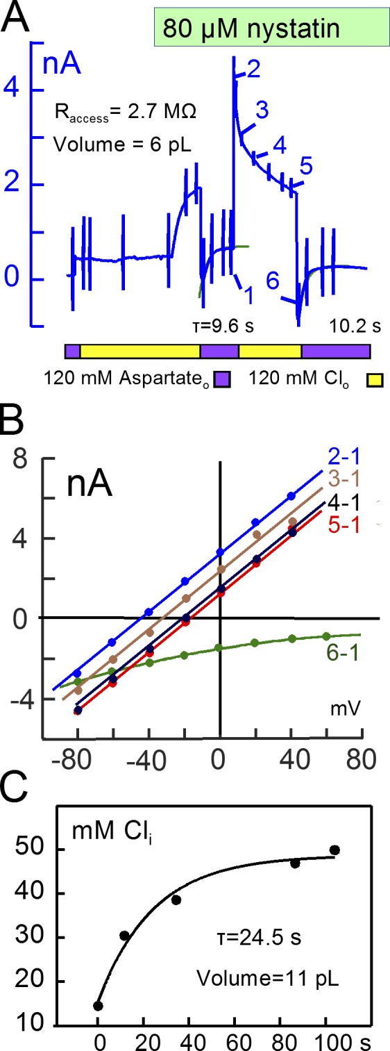 Figure 13.