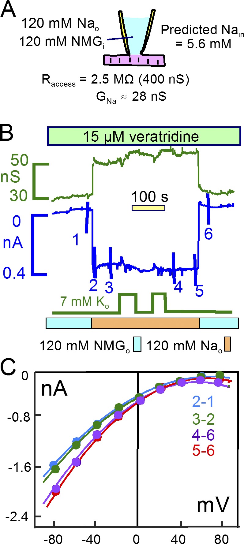 Figure 7.