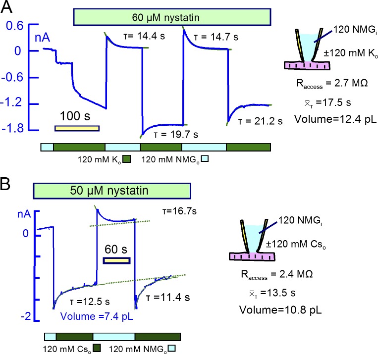 Figure 12.