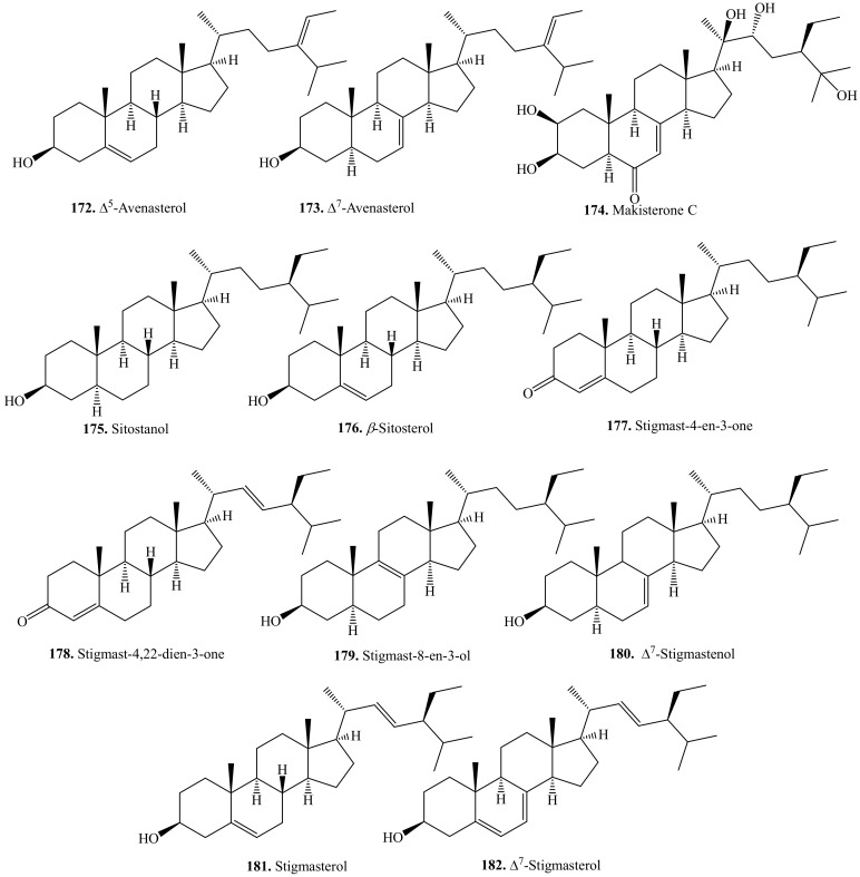 Figure 24