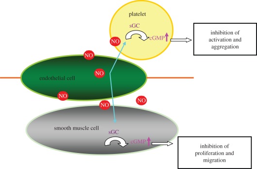 Figure 1.