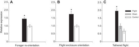 Fig. 5.