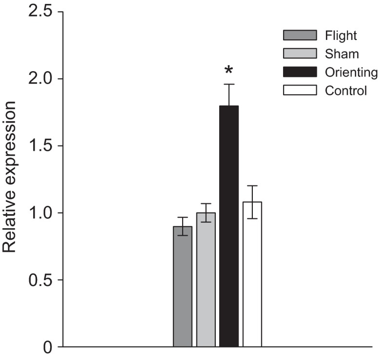 Fig. 6.