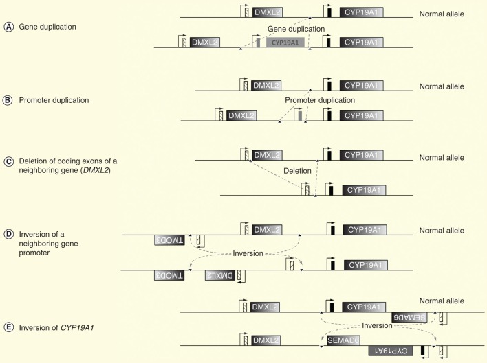 Figure 4.