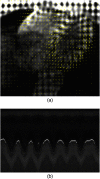 Fig. 3