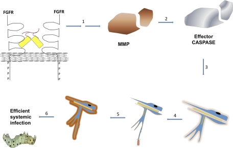 Fig. 6.