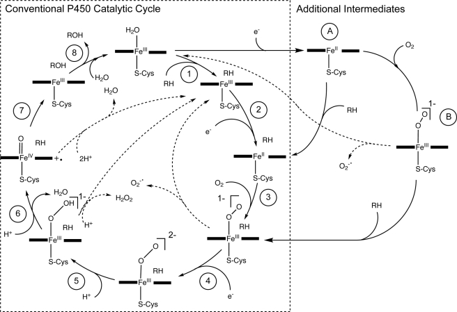 FIGURE 1.