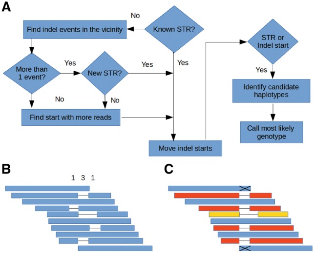 Fig. 1.