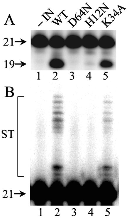 FIG. 3.