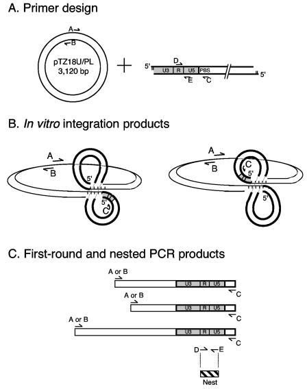 FIG. 4.