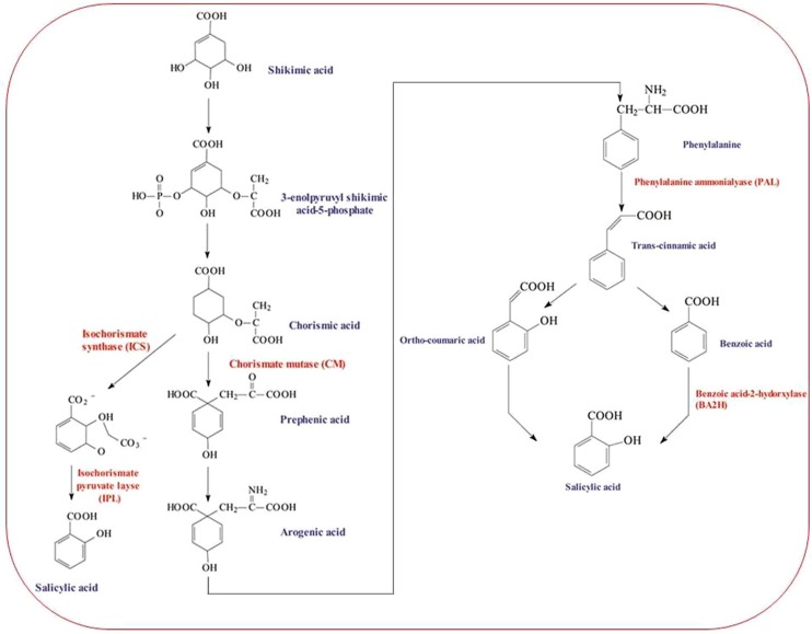 FIGURE 1