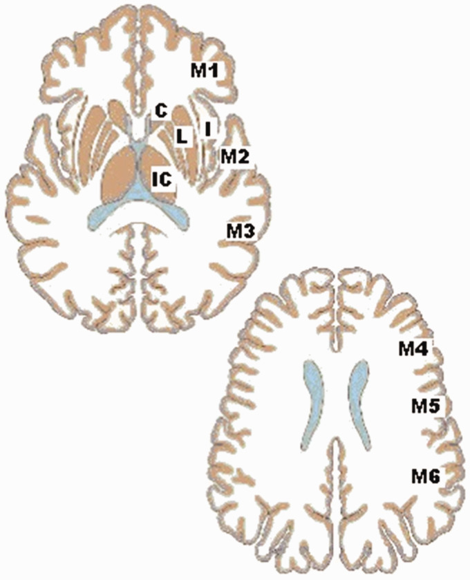 Figure 1.