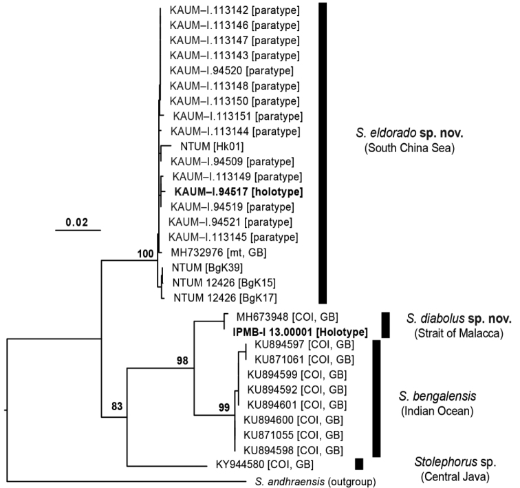 Figure 5.