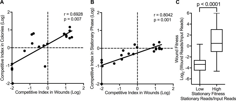 Fig 6