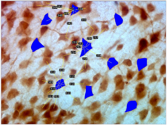 FIGURE 2