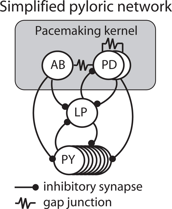 FIG. 2