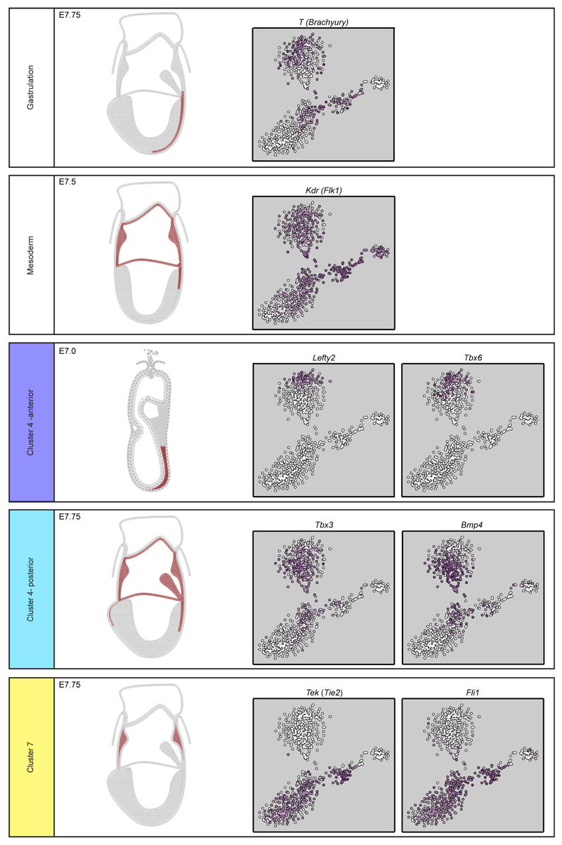 Extended Data Figure 7