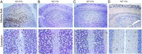 Fig. 9.