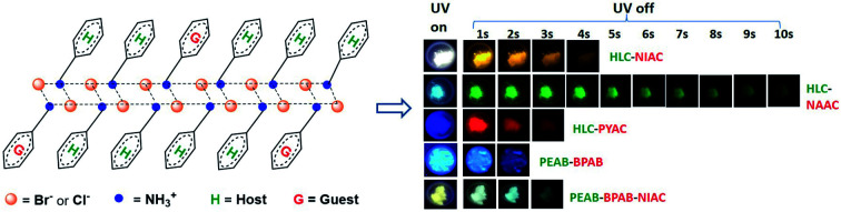 graphic file with name d1sc04806f-ga.jpg