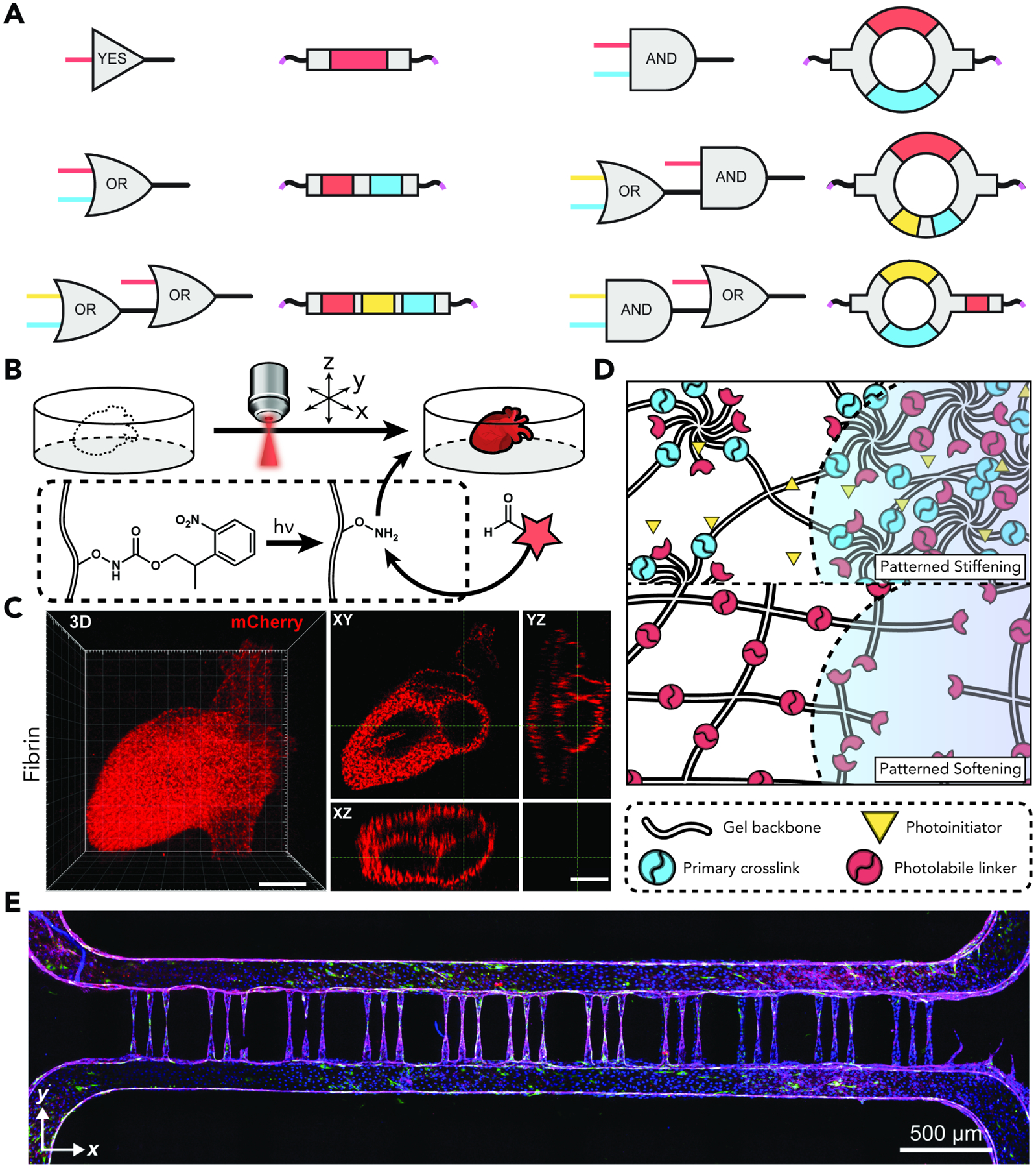 Figure 10.