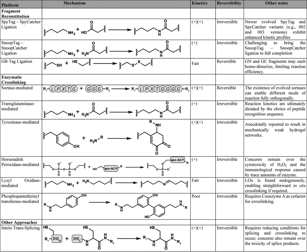 graphic file with name nihms-1938026-t0003.jpg