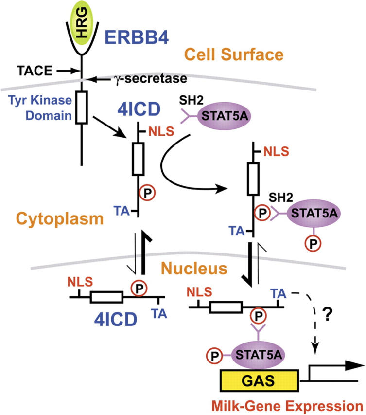 Figure 7.