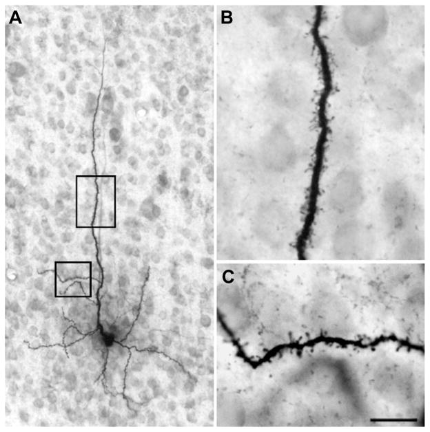 Figure 10