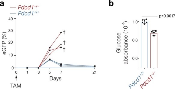 Extended Data Fig. 1