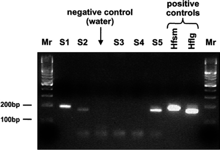 Fig 3.