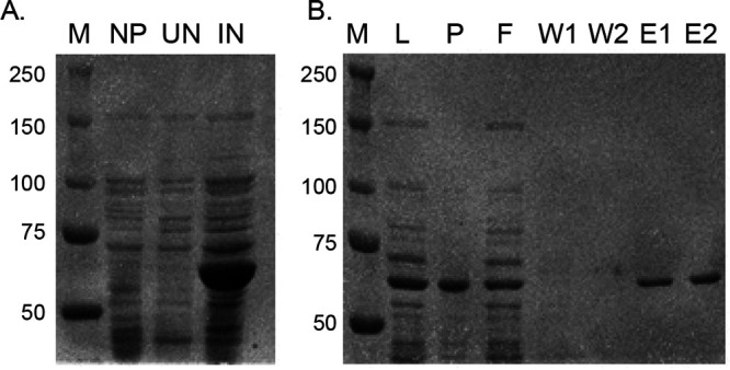 FIG 3